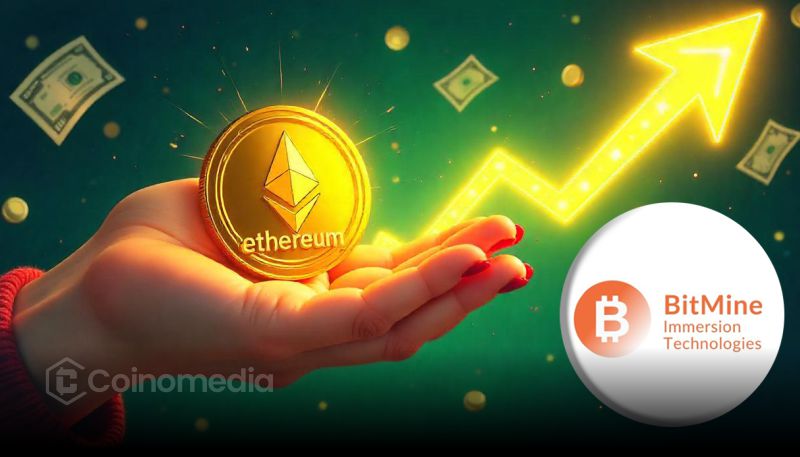 Bitmine Buys $417M in Ethereum Amid Market Crash