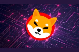 Shiba Inu (SHIB) Loses Crucial Level