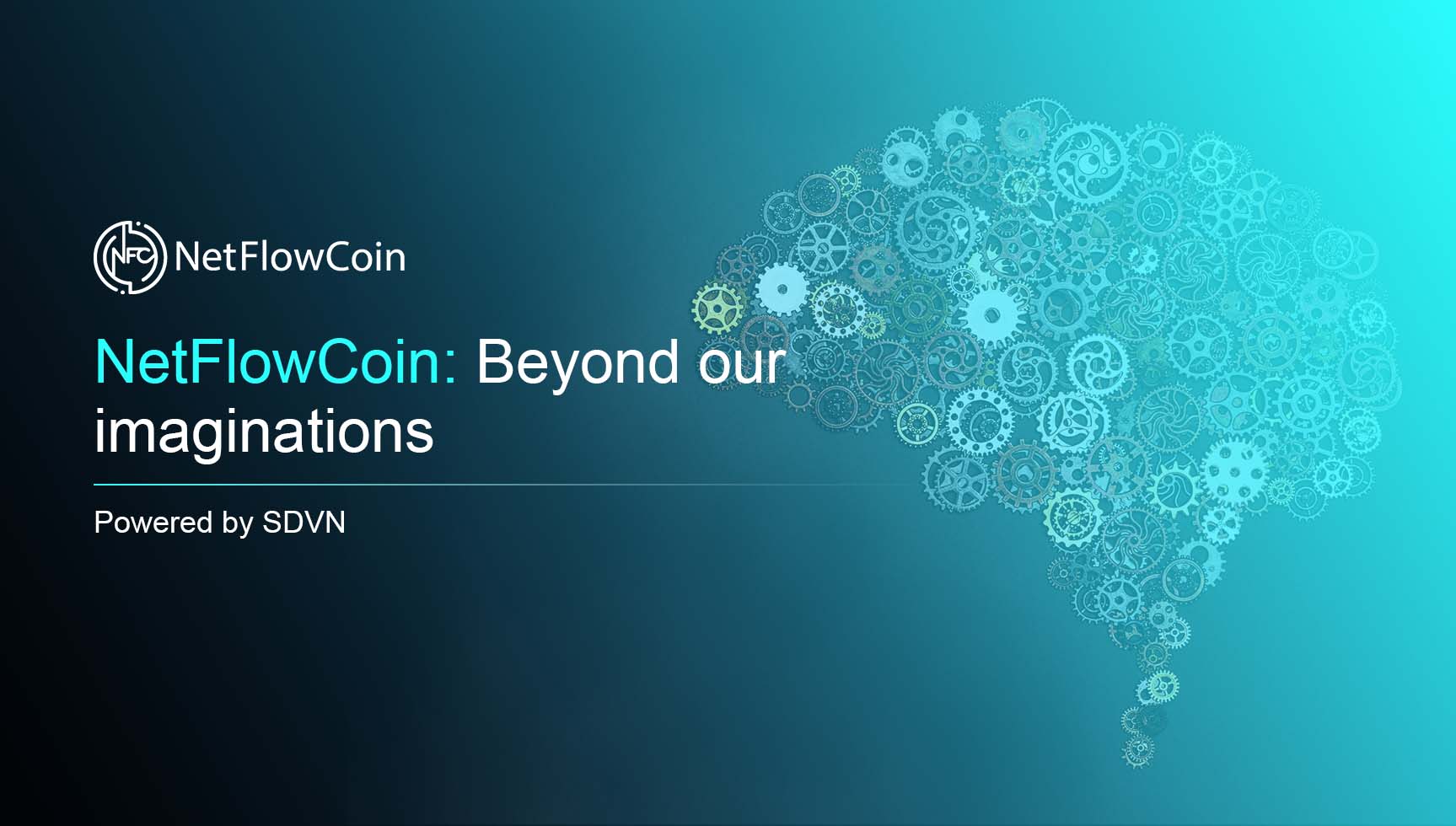 NetFlowCoin: Beyond our imaginations