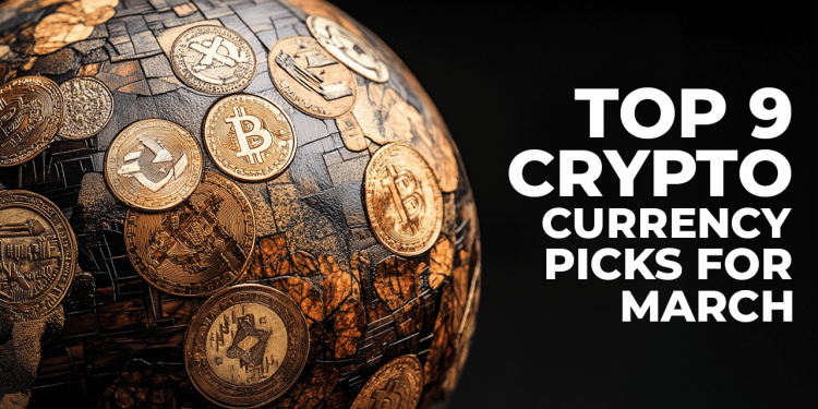 Biggest Opportunities? These 9 Coins Are the Most Popular Cryptocurrencies Right Now