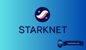 Why Is Starknet (STRK) Price Down Today?