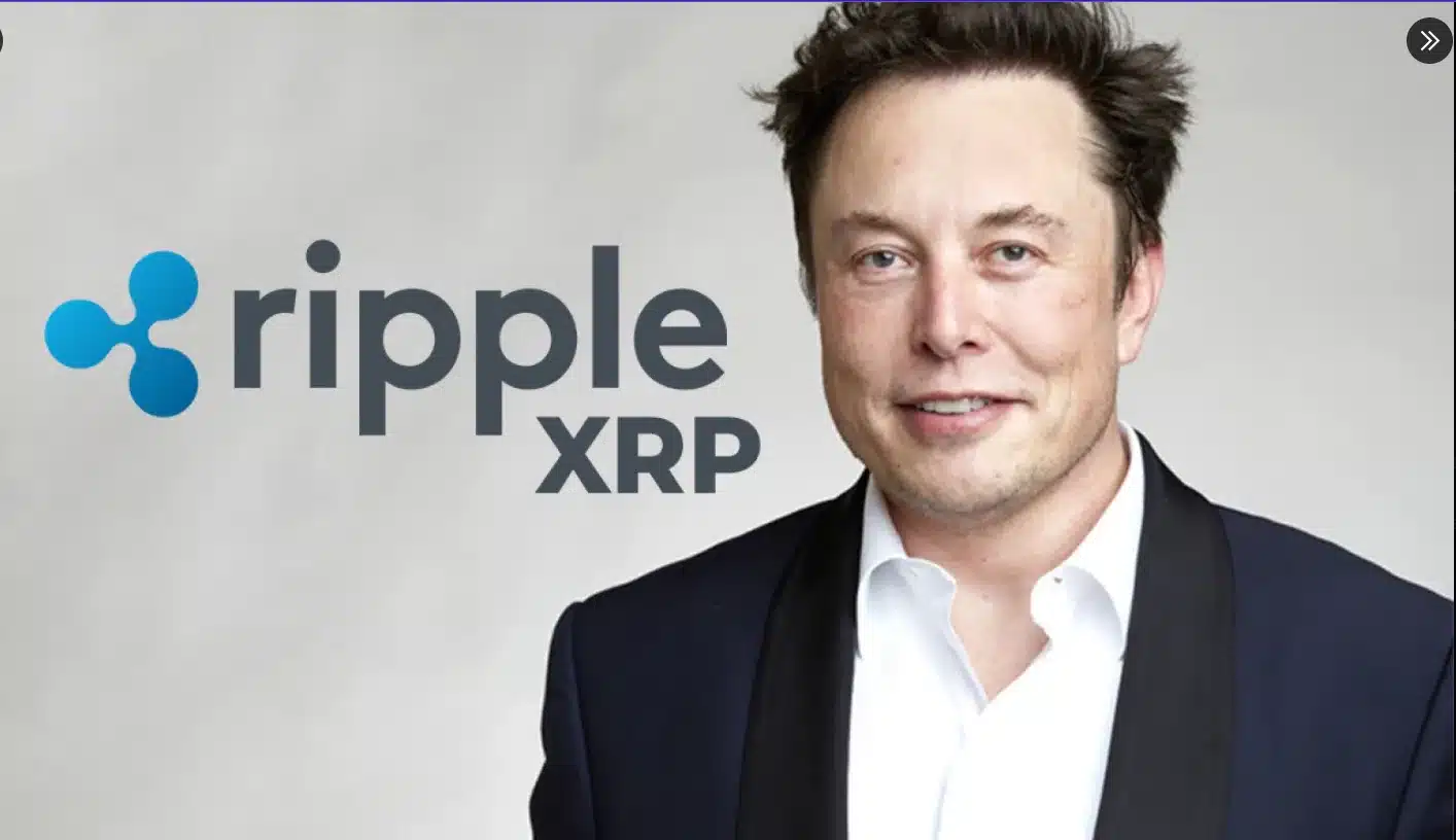 Pundit Believes Elon Musk Will Use XRP as Official Token of X