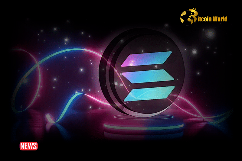 How Crypto Trader Made 56,000% Return On 4 Solana Tokens