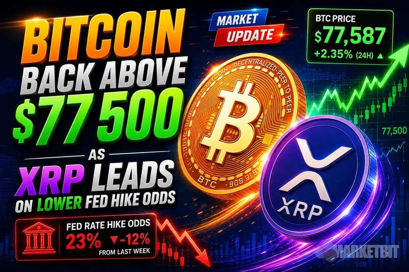 Bitcoin Back Above $77,500 as XRP Leads on Lower Fed Hike Odds