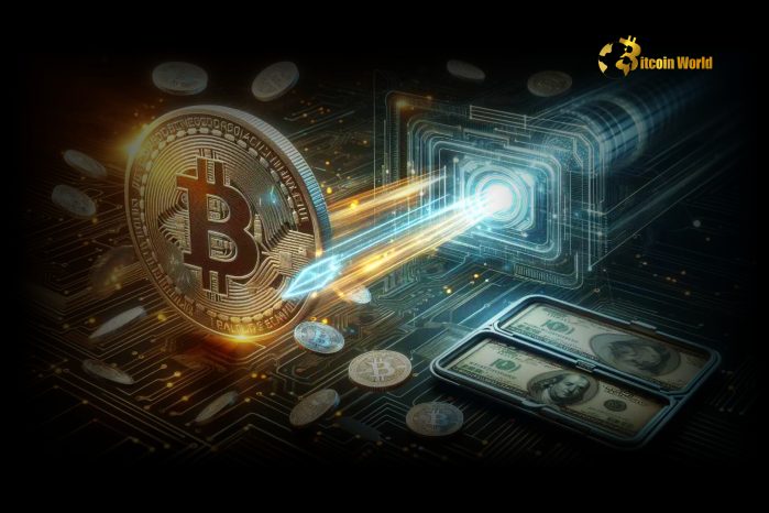 Sanctioned Entities Received a Shocking $15.8B in Crypto Transactions in 2024