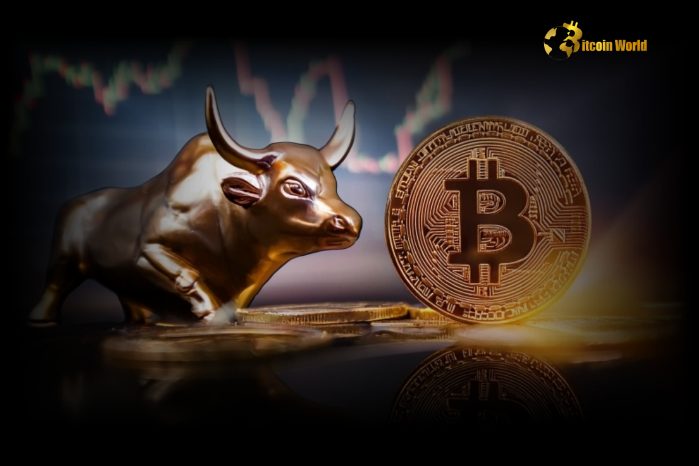 Reassuring Crypto Market Analysis: Why This Bitcoin Price Correction is a Bull Market Opportunity