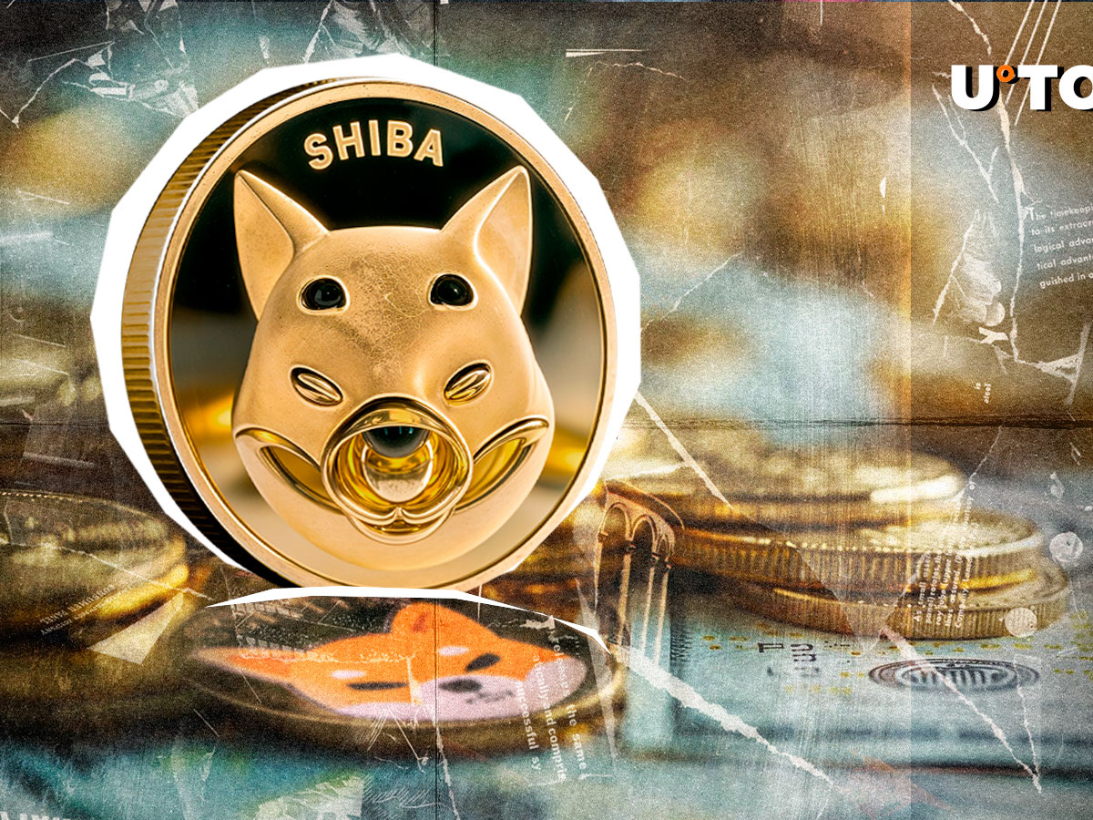 $170,000,000: Shiba Inu (SHIB) Open Interest Nosediving