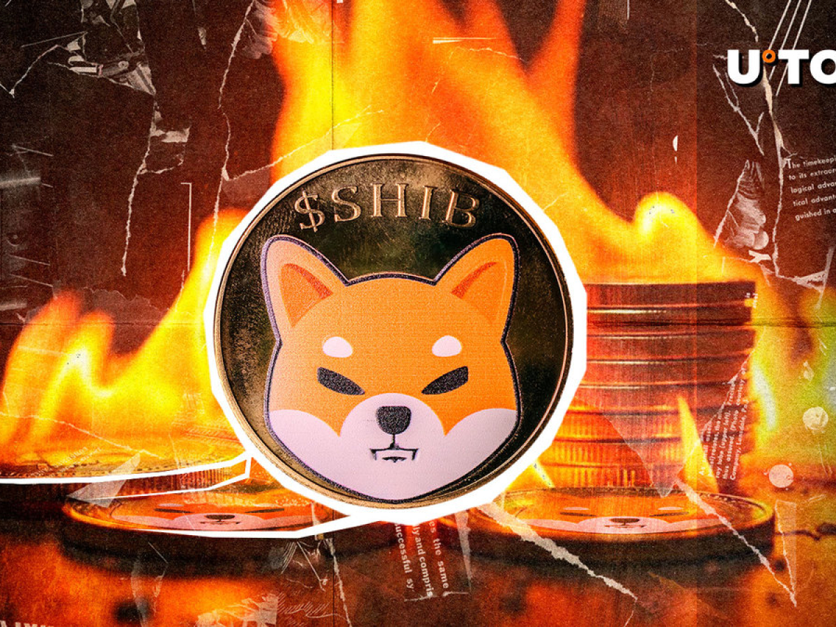 SHIB Burns Skyrocket 65,529%, Here's How Much SHIB Set on Fire