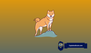 Dogecoin (DOGE) Ready to Bounce After Sharp Dip: Here Are the Next Big Targets