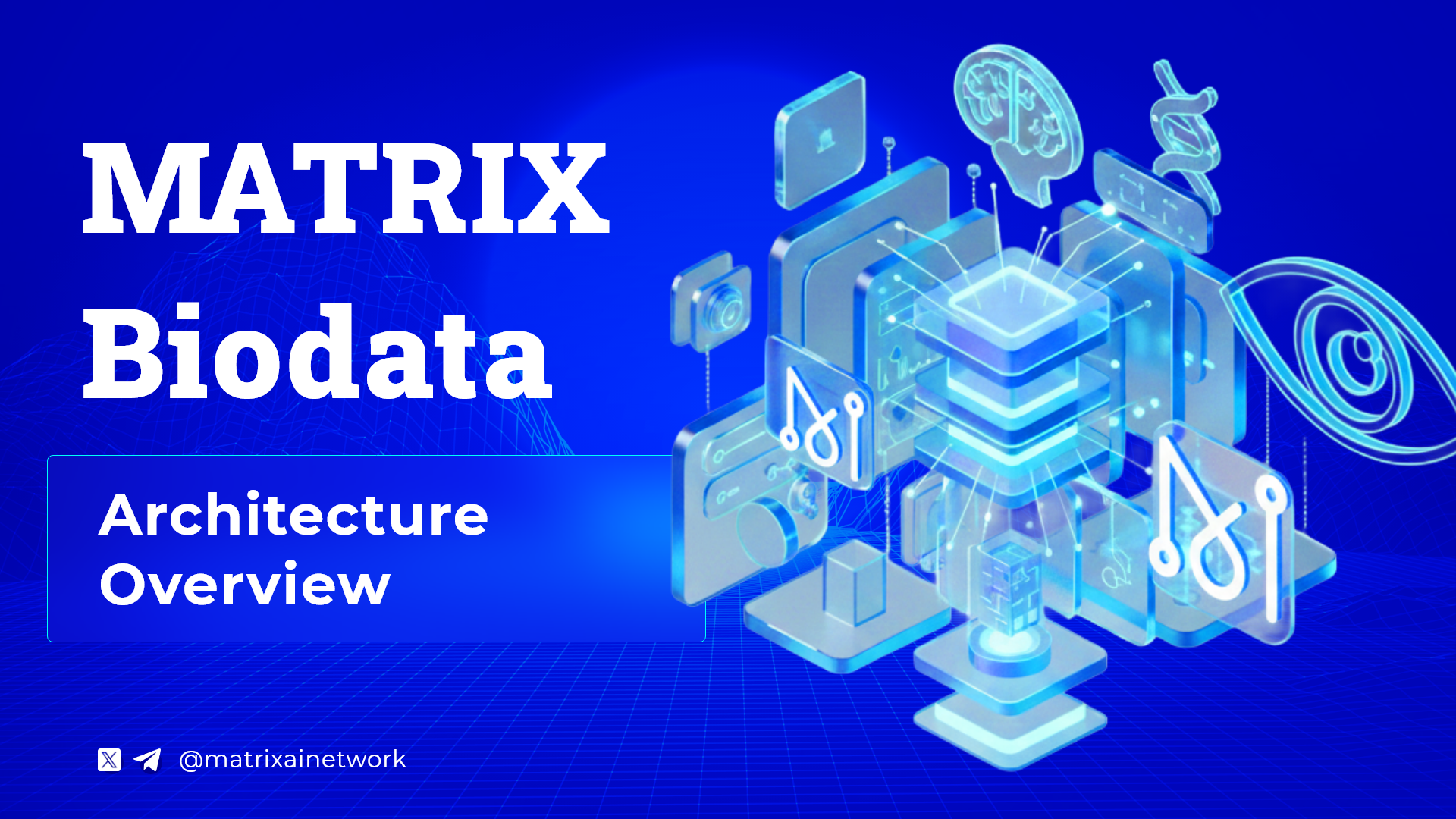 Matrix Biodata Architecture Overview