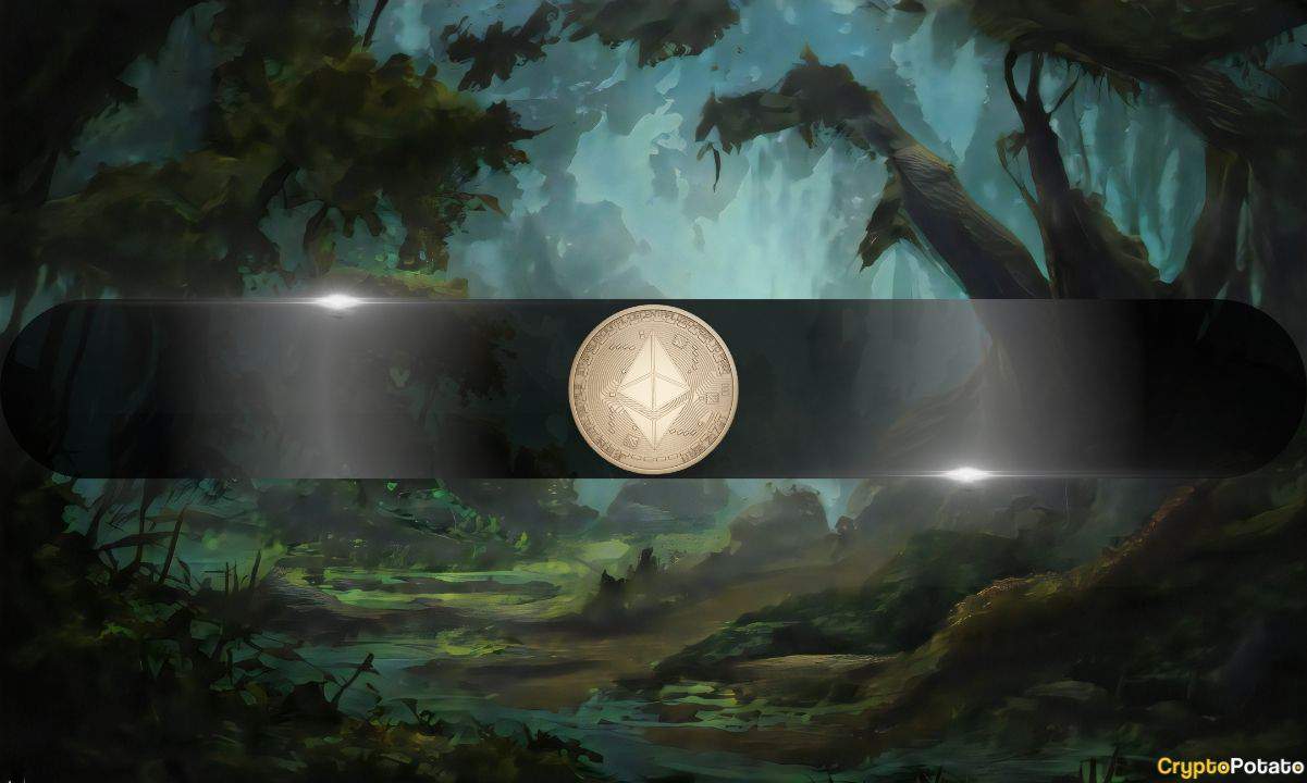 Ethereum Network Slumps to 12-Month Low: What the Retail Exodus Means