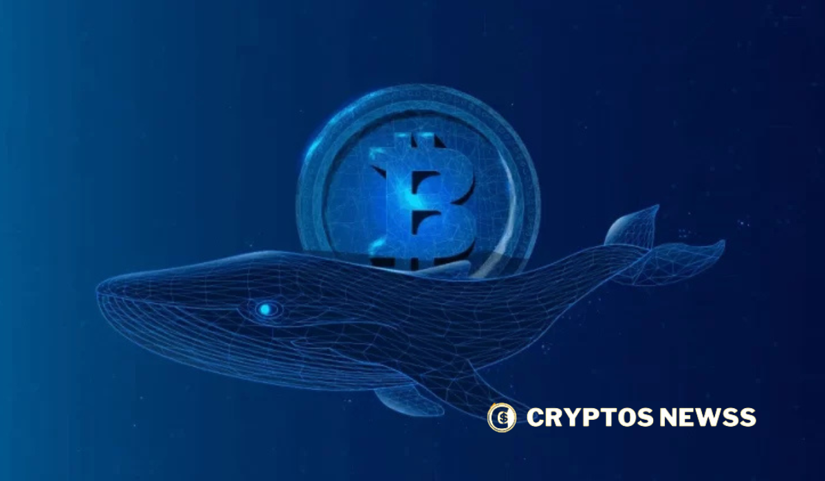 Bitcoin Whales Absorb 65,000 BTC—Does This Signal a Long-Term Bullish Trend?