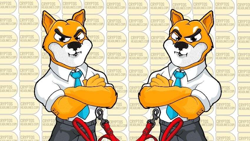 SHIB Set to Surprise the World: Find Out Why!