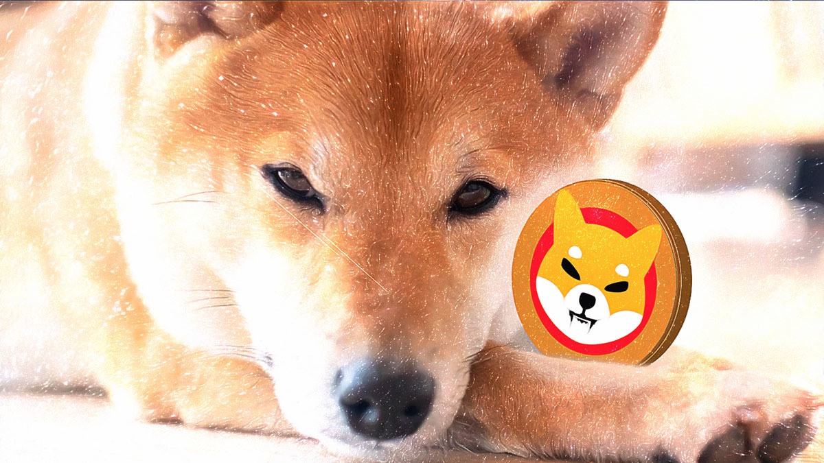 Shiba Inu Token Burning Accelerates, Triggering Market Buzz