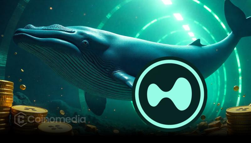 Whales Accumulate HYPE as Millions Flow Into Hyperliquid