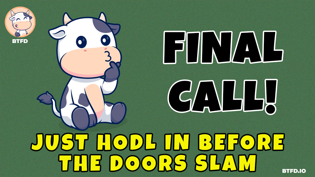 As TRUMP and Turbo Spiral, Experts Group BTFD Coin With the Best New Meme Coins to Buy Today [200% ROI Soon!]