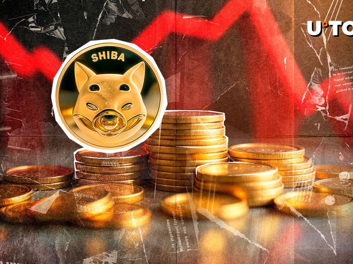 Shiba Inu (SHIB) Dips Toes in Bear Market