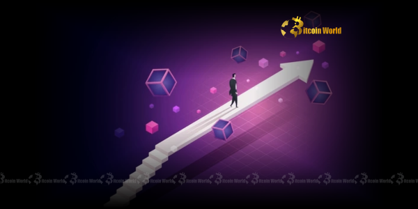 Stablecoin Bridge Breakthrough: Nano Labs and Orbiter Finance Pioneer a Multi-Network Future