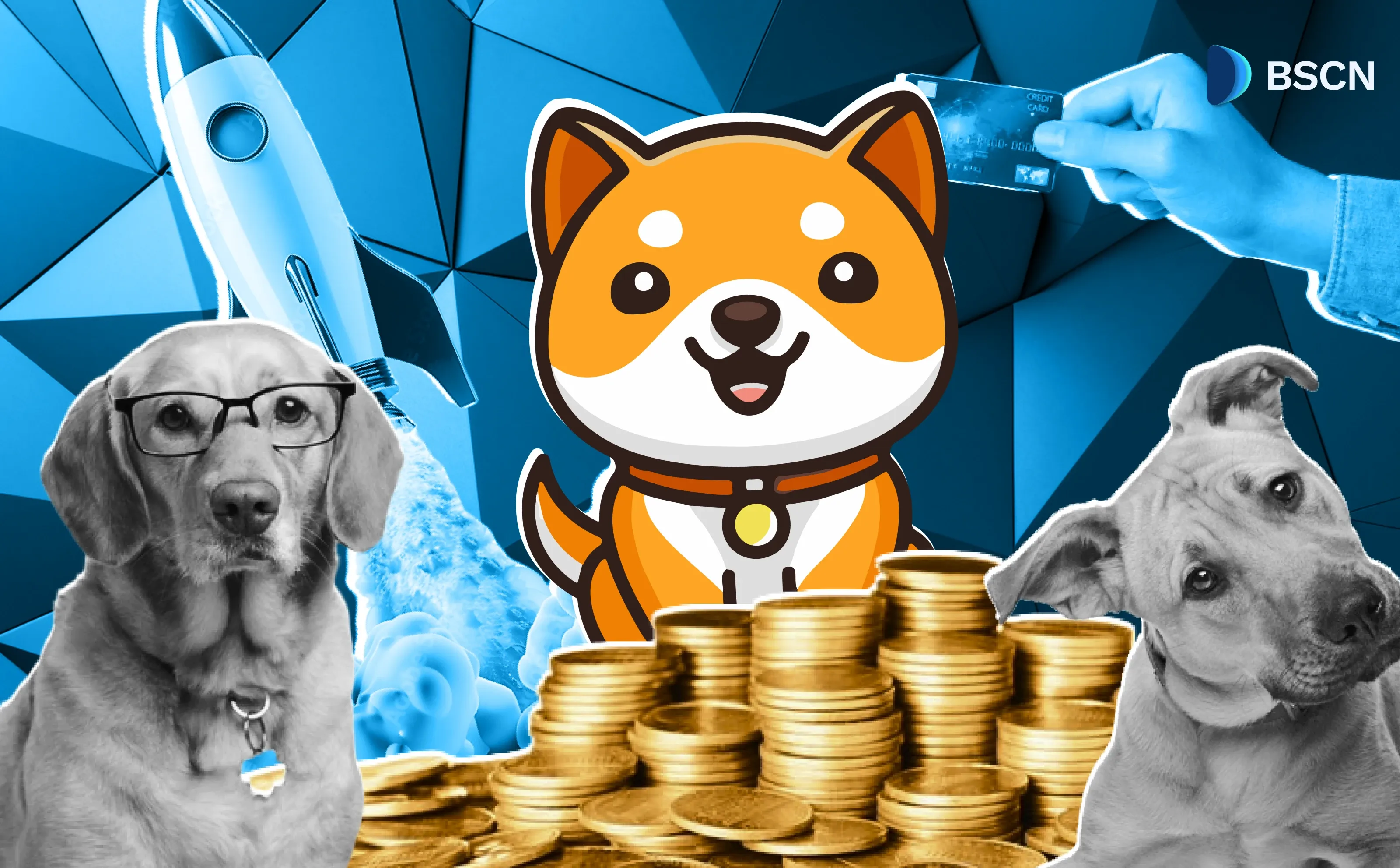 The BabyDoge Story: More Than a Mememcoin