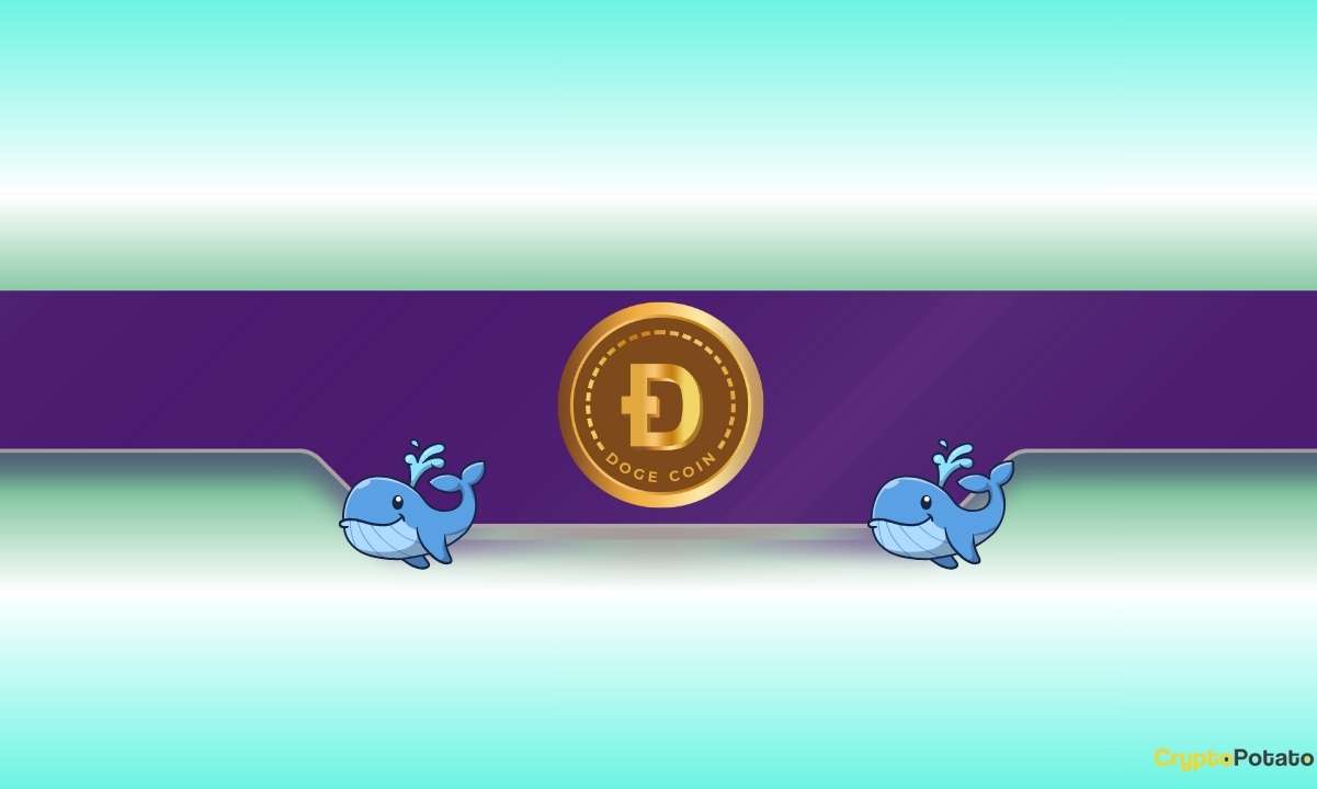 DOGE Price Dumps to Monthly Lows but Dogecoin Whales Load Up