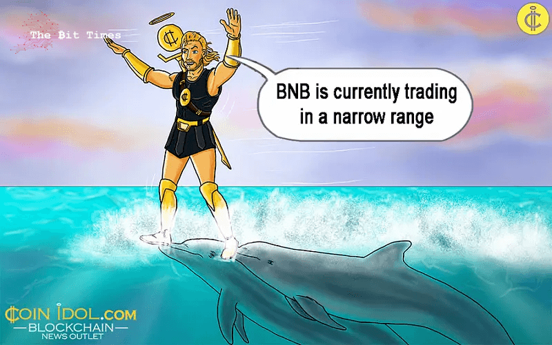 BNB Tilts Downward As It Encounters Rejection At $230