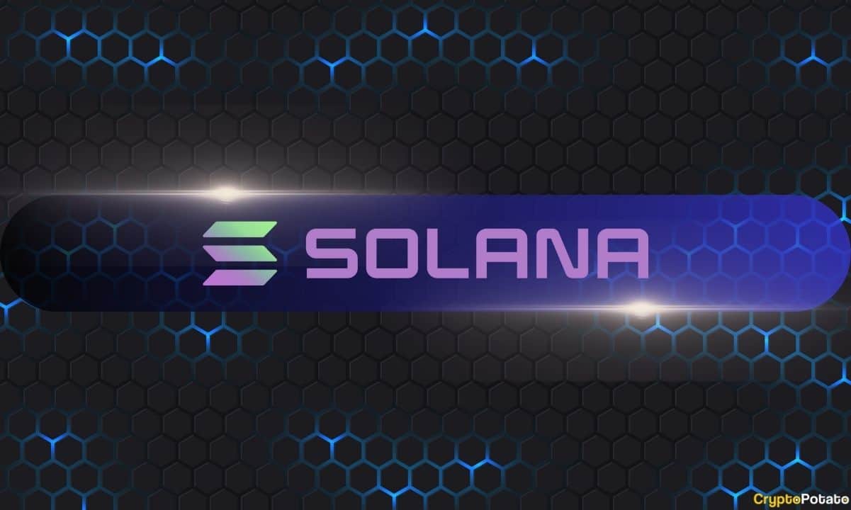 Solana to Rip? Elon Musk Reportedly Planning a Blockchain Revolution for US Government