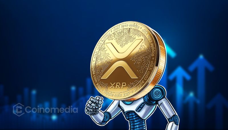XRP Fear Levels Spike, Hinting at Possible Rally