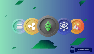 Top Crypto Trader Expects Another ‘Insane Bull Run’; Explains How to Milk It Better