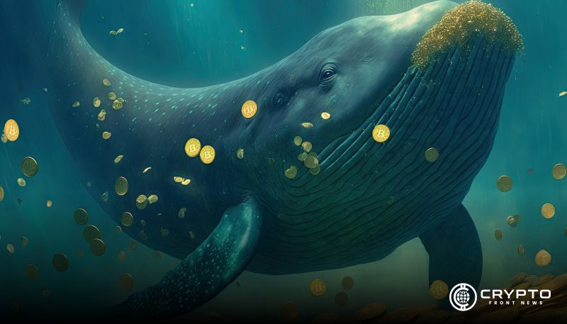 Whale Moves $85.7M in Bitcoin as Market Eyes Breakout