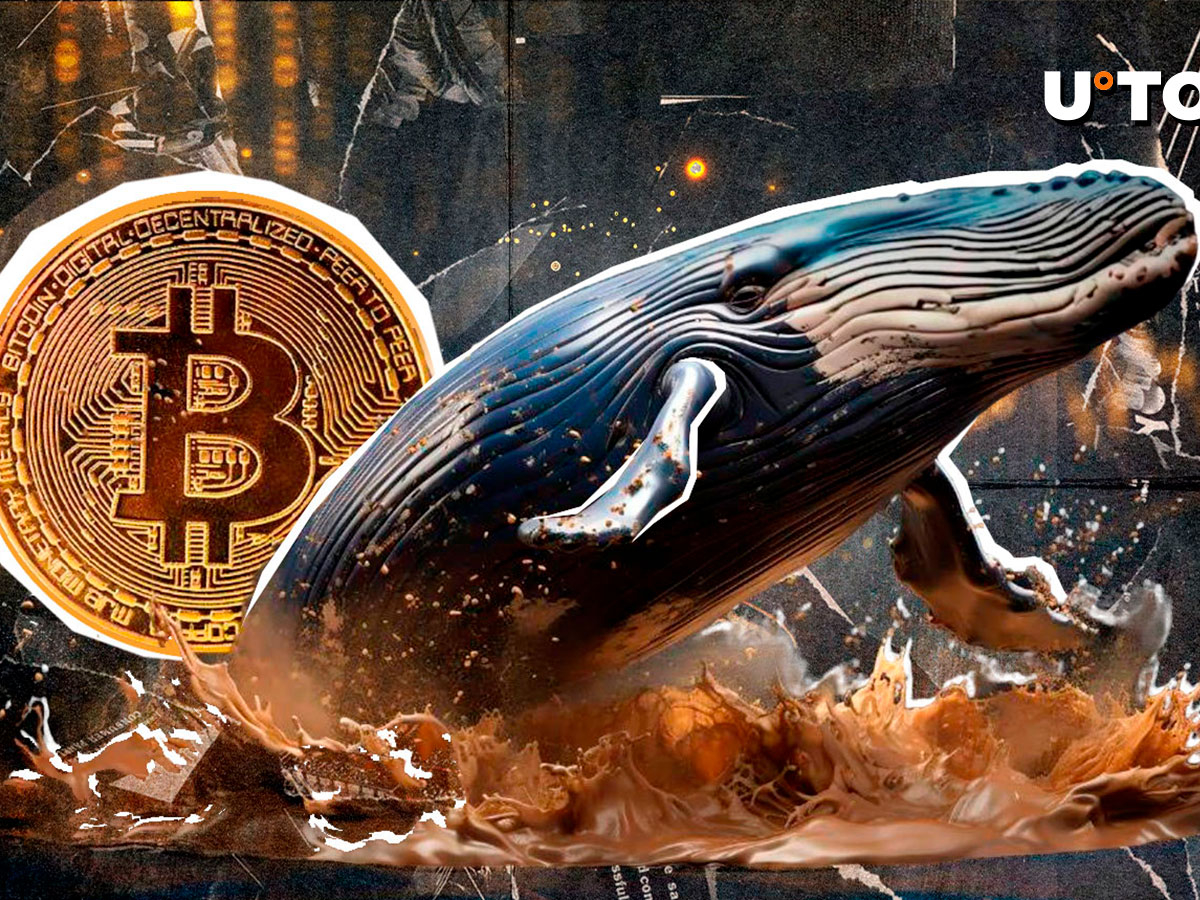 Massive New Bitcoin Whale Birthed With 1,300 BTC Shift: Details