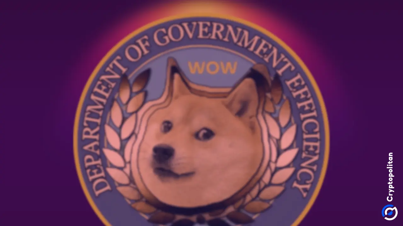 Nearly half of D.O.G.E’s contract cuts prove pointless in cost-saving effort