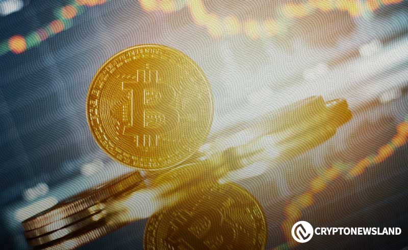 Bitcoin New Addresses Drop to 240K as Price Holds Near $96K