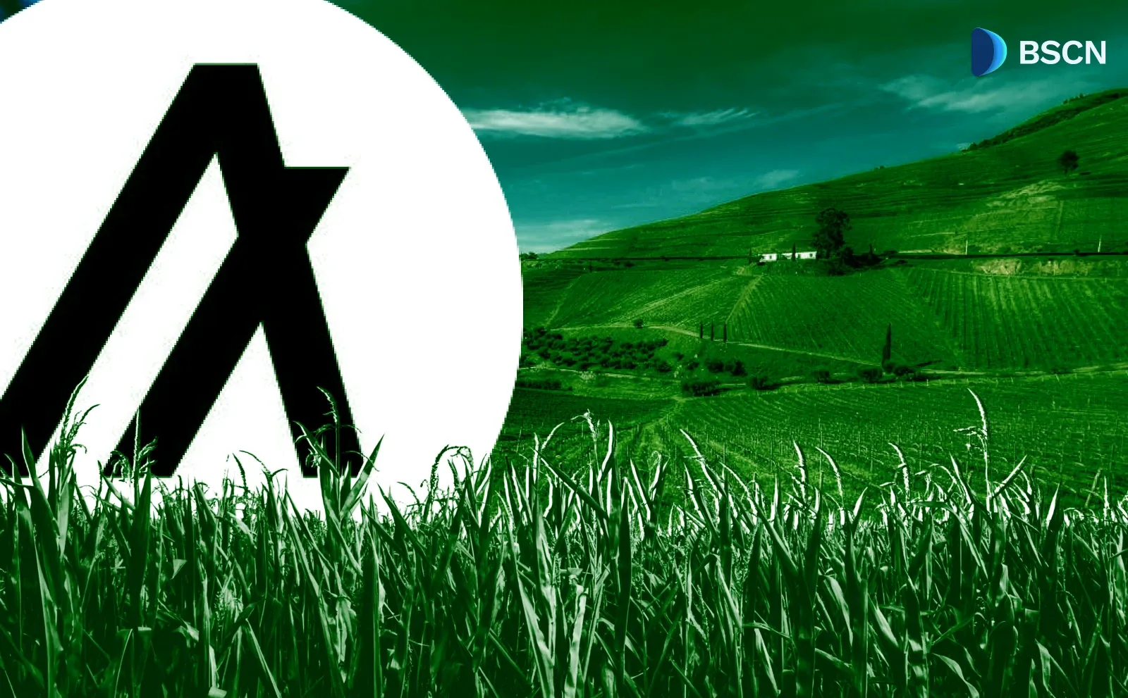 Algorand (ALGO): Speed, Security, and Sustainability