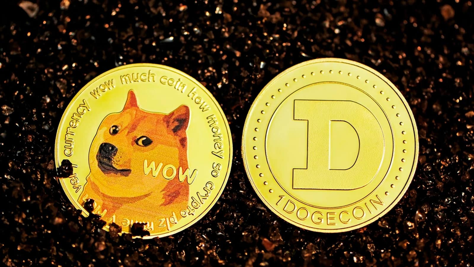 The First Official Step for Dogecoin (DOGE) for $175 Million Has Been Taken! "There's an Elon Musk Detail Too!"