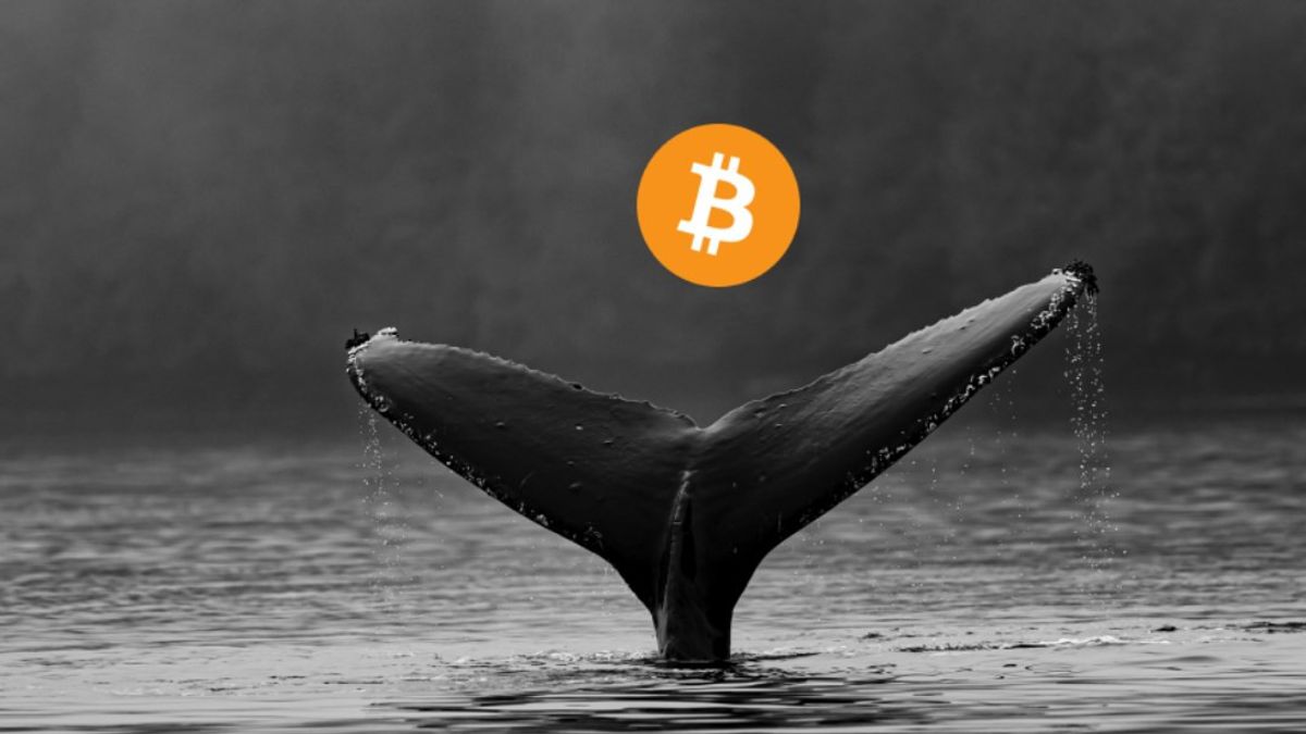 Binance Whale Inflows Drop to 6-Month Low, Suggesting Bullish BTC Setup