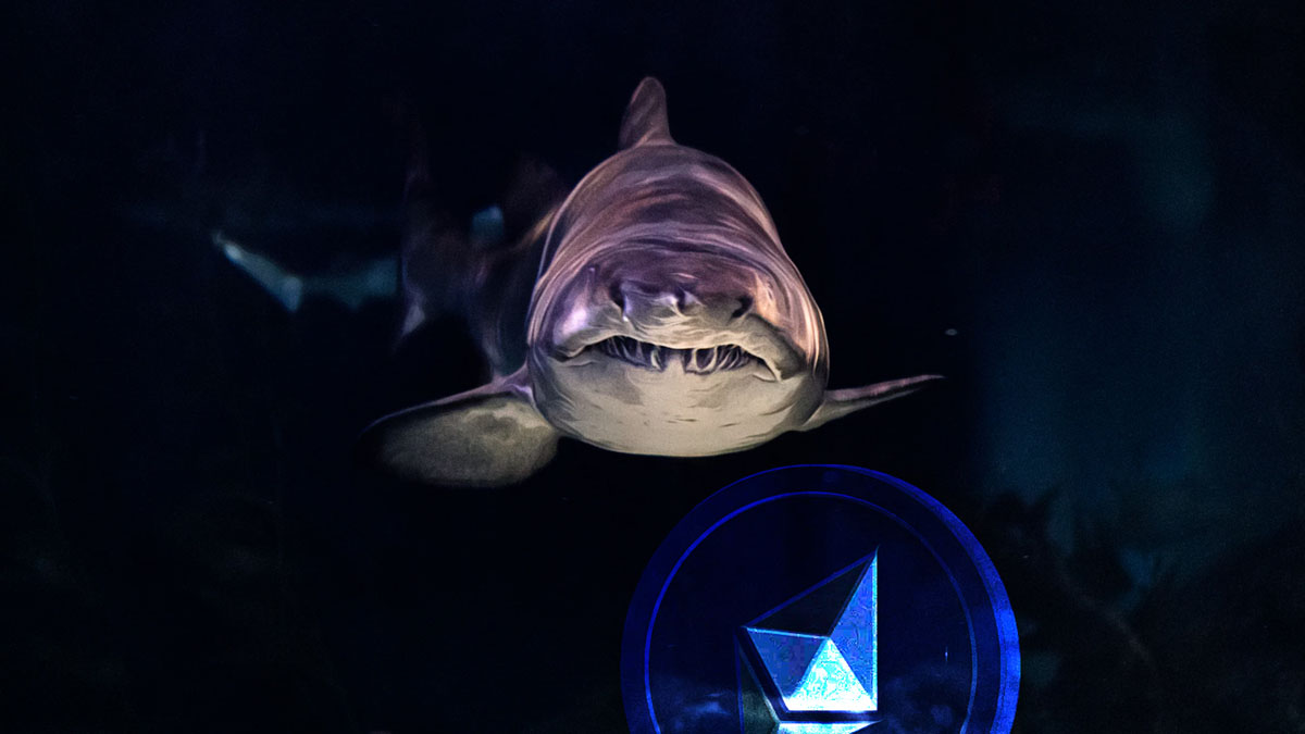 Ethereum Suffers as Major Sellers Dump Assets