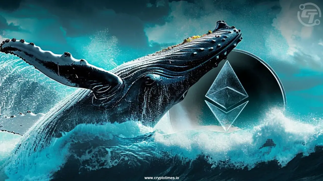 Ethereum Whale “7 Siblings” Buys $28.75M ETH Amid Market Crash