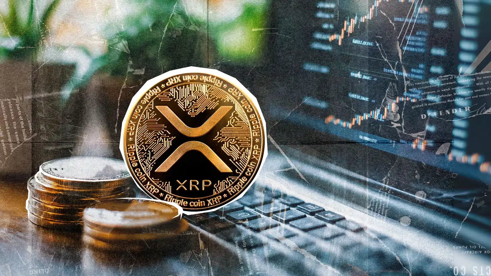 XRP Signals Potential Market Shift as Open Interest Rises on Coinbase