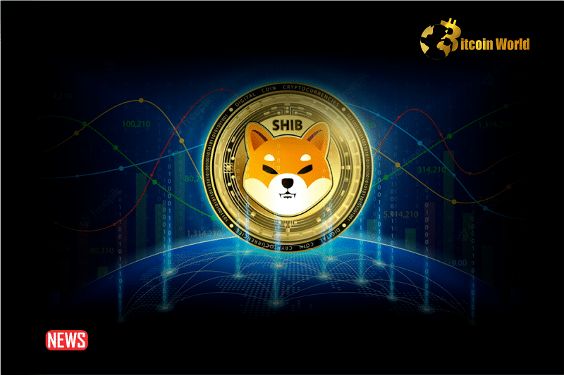 What Next For Shiba Inu (SHIB) Price as Whale Demand Weakens?