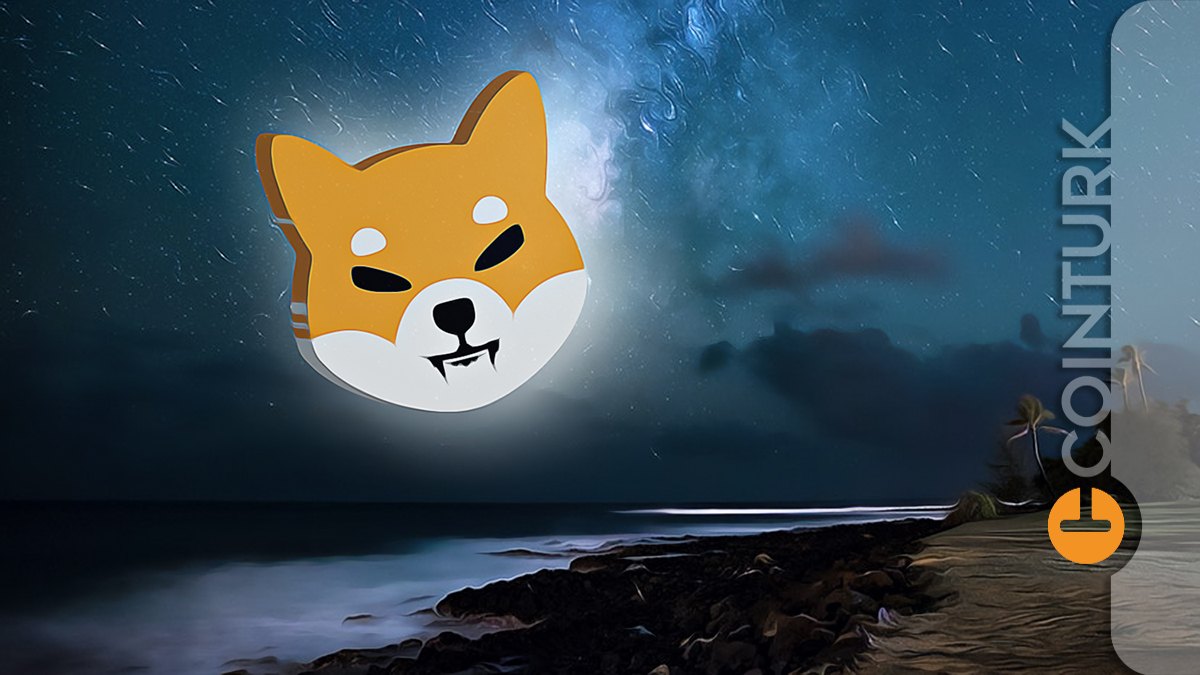 Kripto Paralar Düşerken Bu Altcoin Çift Haneli Yükseliş Yaşadı! Shiba Inu Bağlantılı Altcoin’in Son Durumu!