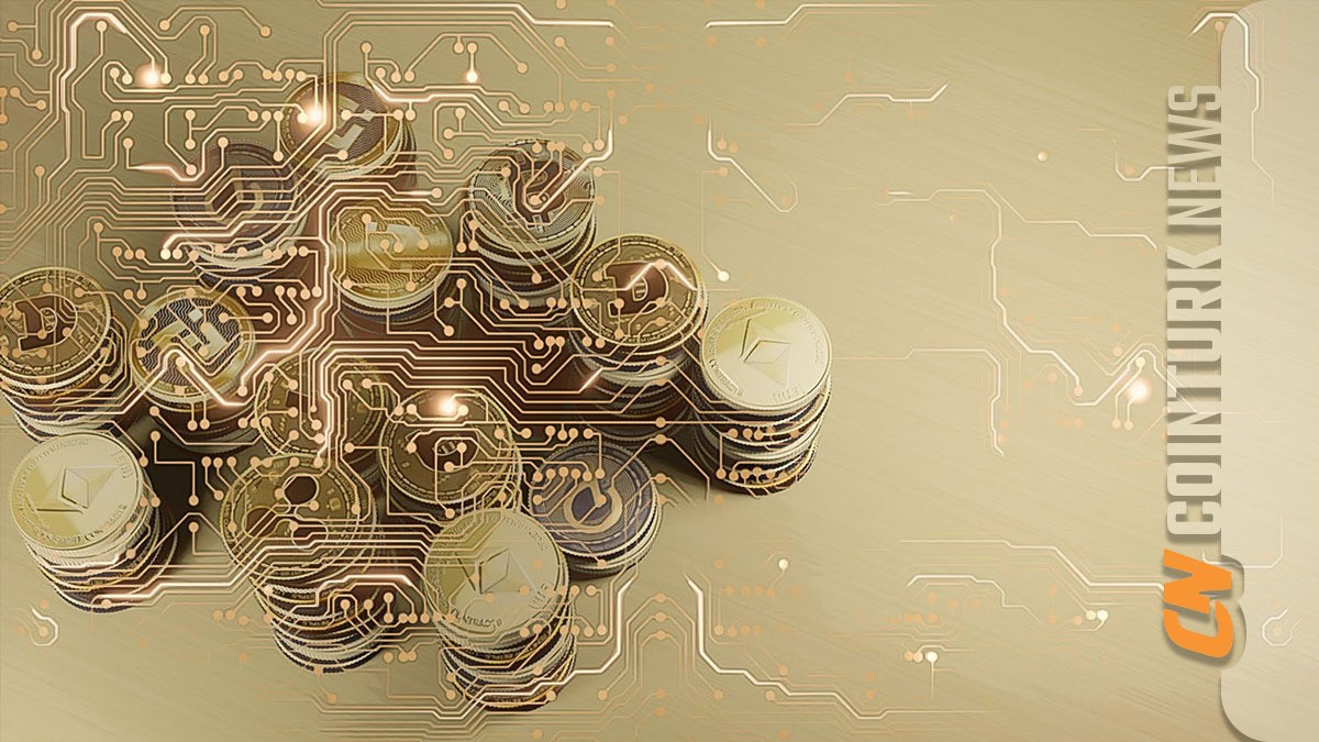 Analyst Warns of Imminent Drop in Dogwifhat and Solana