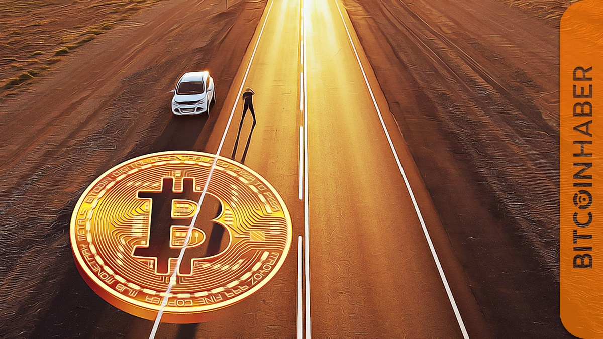 Bitcoin Yükseliş Hızı Düşmesine Rağmen Balinaların Güveni Devam Ediyor