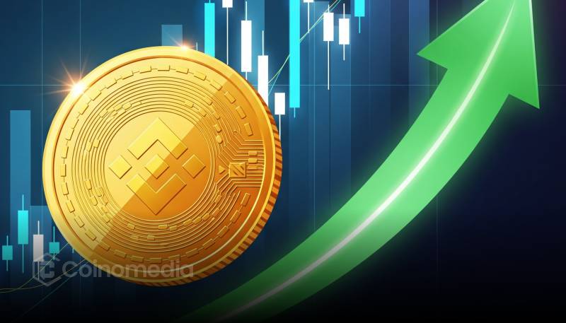 BNB Chain Rolls Out $45M Airdrop for Memecoin Traders