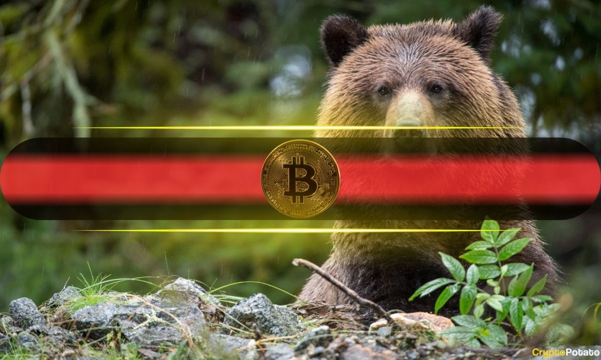 Bitcoin (BTC) Floor at $46K? Willy Woo Says Macro Risks Could Push It Lower
