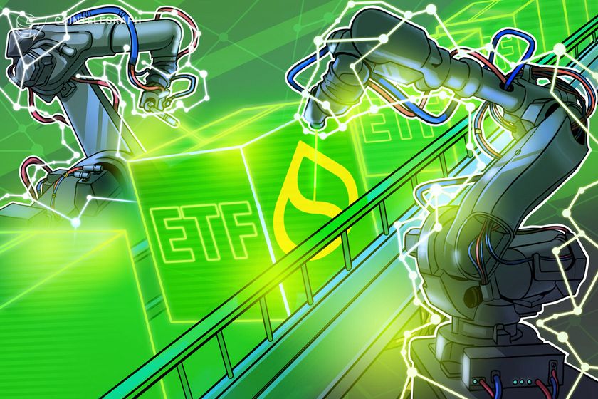 Excerpt from the S-1 Form for 21Shares Sui ETF