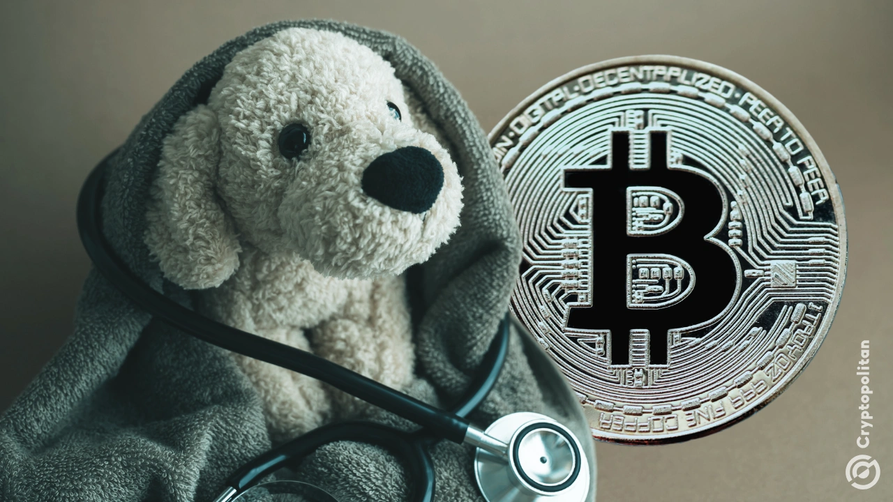 El Salvador shuts down its Bitcoin-funded pet hospital