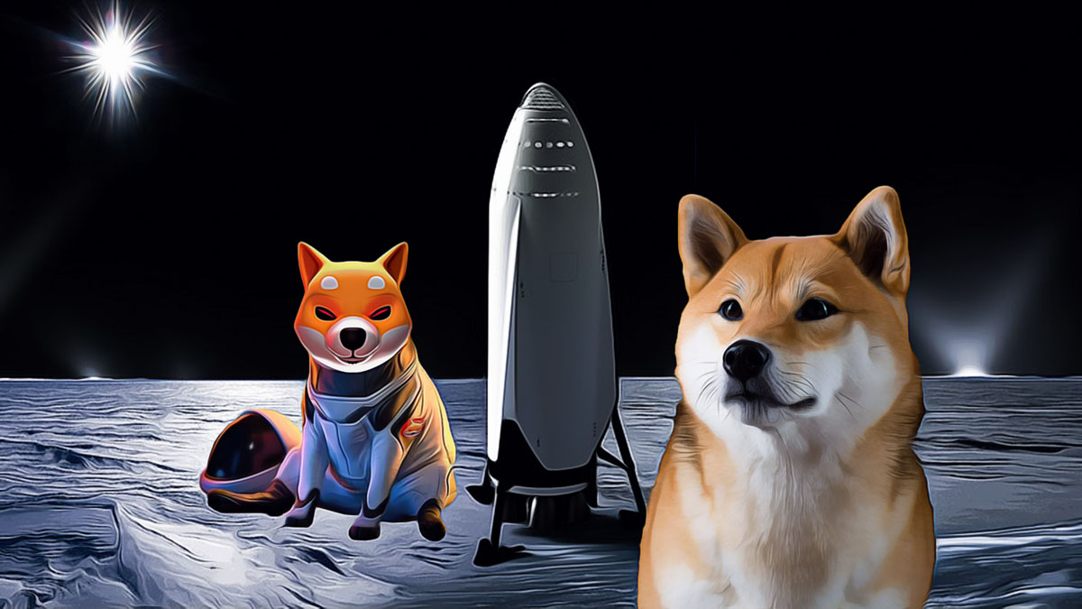 Can Dogecoin and Shiba Inu Bounce Back?
