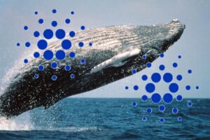 Bullish: Whales Scoop Up Over 180 Million Cardano (ADA) in a Week