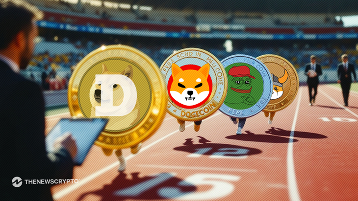 Meme Coins on the Rise, Is Trend Reversal on the Horizon?