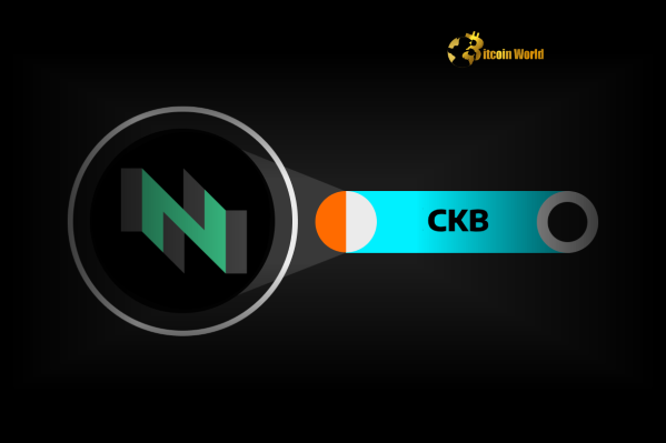 CKB Token: Urgent DAXA Warning Issued by South Korea’s Crypto Alliance